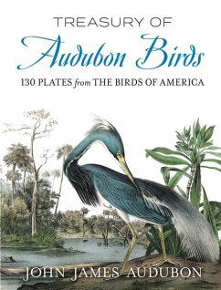 Treasury of Audubon Birds - Audubon, John James
