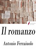 Il romanzo (eBook, ePUB)