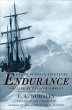 Endurance (eBook, ePUB) - Bild 1