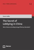 The Secret of Lobbying in China (eBook, PDF)