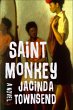 Saint Monkey (eBook, ePUB) - Bild 1