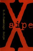 XAIPE (eBook, ePUB)