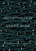 Shantytown (eBook, ePUB)