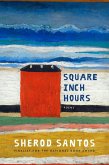 Square Inch Hours: Poems (eBook, ePUB)