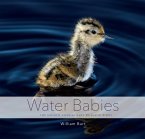 Water Babies: The Hidden Lives of Baby Wetland Birds (eBook, ePUB)