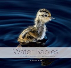 Water Babies: The Hidden Lives of Baby Wetland Birds (eBook, ePUB) - Burt, William