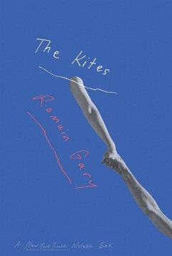 The Kites (eBook, ePUB) - Gary, Romain