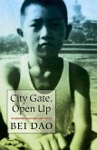 City Gate, Open Up (eBook, ePUB)