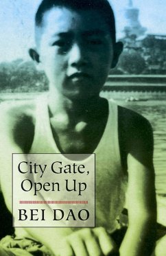 City Gate, Open Up (eBook, ePUB) - Dao, Bei