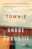 Townie: A Memoir (eBook, ePUB)