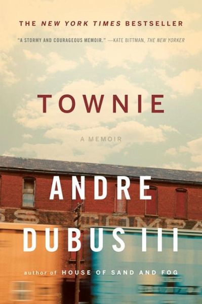 Townie (eBook, ePUB)