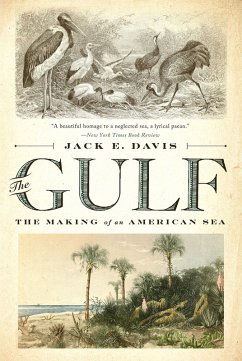 The Gulf: The Making of An American Sea (eBook, ePUB) - Davis, Jack E.