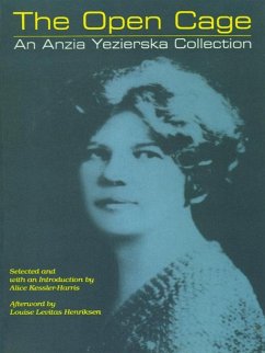 Cover The Open Cage (eBook, ePUB)