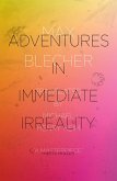 Adventures In Immediate Irreality (eBook, ePUB)