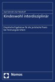 Kindeswohl interdisziplinär (eBook, PDF)