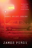 Cabot Wright Begins: A Novel (eBook, ePUB)