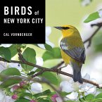 Birds of New York City (eBook, ePUB)