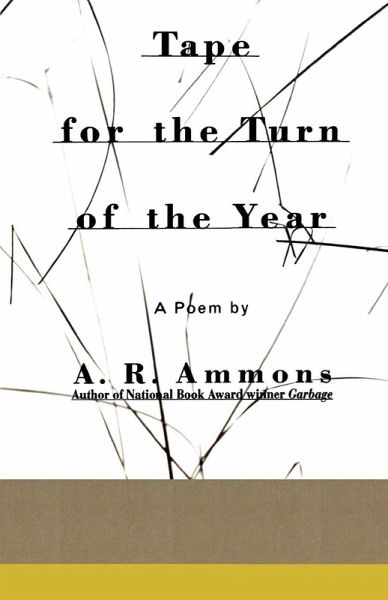 Tape for the Turn of the Year (eBook, ePUB)