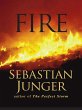 Fire (eBook, ePUB) - Bild 1