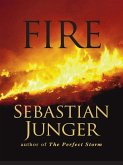 Fire (eBook, ePUB)