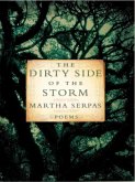 The Dirty Side of the Storm: Poems (eBook, ePUB)