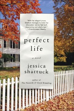 Cover Perfect Life (eBook, ePUB)