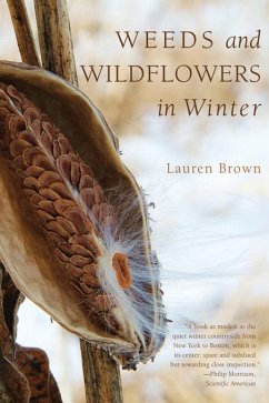 Cover Weeds and Wildflowers in Winter (eBook, ePUB)