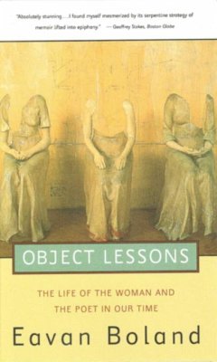 Cover Object Lessons: The Life of the Woman and the Poet in Our Time (eBook, ePUB)