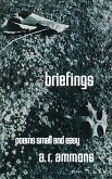 Briefings: Poems Small and Easy (eBook, ePUB)