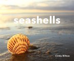 Seashells (eBook, ePUB)