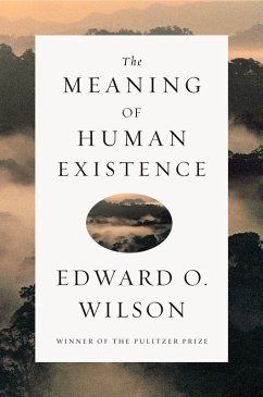 Cover The Meaning of Human Existence (eBook, ePUB)