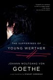 The Sufferings of Young Werther: A New Translation (eBook, ePUB)