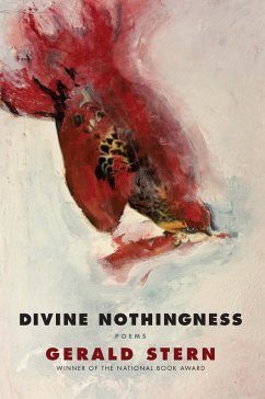 Cover Divine Nothingness (eBook, ePUB)