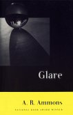 Glare (eBook, ePUB)