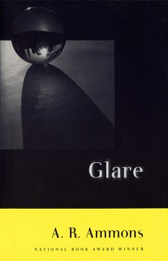 Glare (eBook, ePUB) - Ammons, A. R.