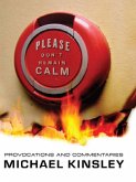 Please Don't Remain Calm: Provocations and Commentaries (eBook, ePUB)