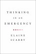 Thinking in an Emergency (eBook, ePUB) - Bild 1