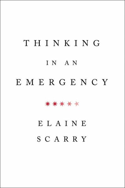 Thinking in an Emergency (eBook, ePUB) Thinking in an Emergency (eBook, ePUB)