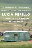 Happiness Is a Chemical in the Brain: Stories (eBook, ePUB)