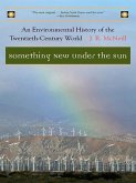 Something New Under the Sun: An Environmental History of the Twentieth-Century World (The Global Century Series) (eBook, ePUB)