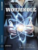 Wormhole (eBook, ePUB)