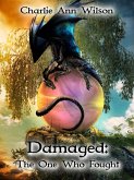 Damaged: The One Who Fought (eBook, ePUB)
