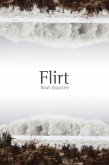 Flirt (eBook, ePUB)
