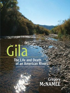 Gila (eBook, ePUB) - McNamee, Gregory
