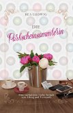 Die Parkscheinsammlerin (eBook, ePUB)