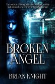 Broken Angel (eBook, ePUB)