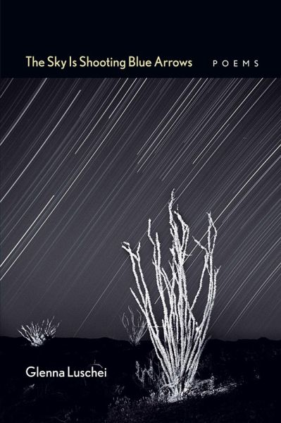 The Sky Is Shooting Blue Arrows (eBook, ePUB) The Sky Is Shooting Blue Arrows (eBook, ePUB)