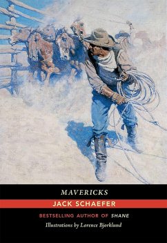 Cover Mavericks (eBook, ePUB)