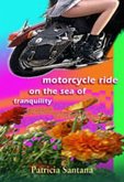 Motorcycle Ride on the Sea of Tranquility (eBook, ePUB)