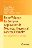 Finite Volumes for Complex Applications IX - Methods, Theoretical Aspects, Examples (eBook, PDF)